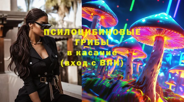 соль ск Горно-Алтайск