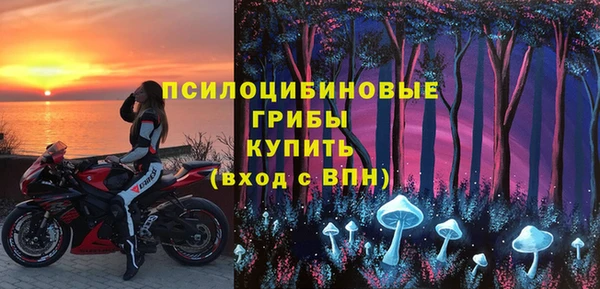 соль ск Горно-Алтайск