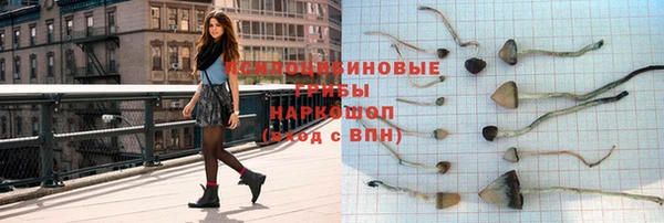 хмурый Горнозаводск