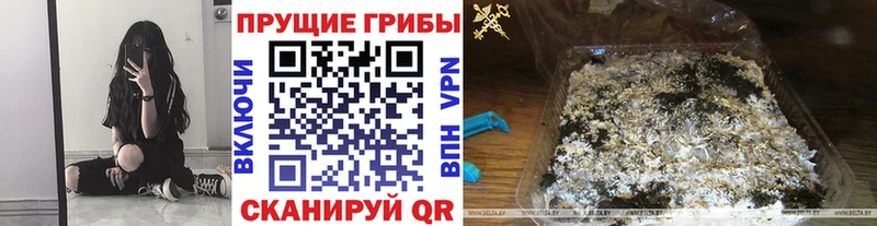 Купить закладки  Лебедянь  Галлюциногенные грибы Psilocybine cubensis 
